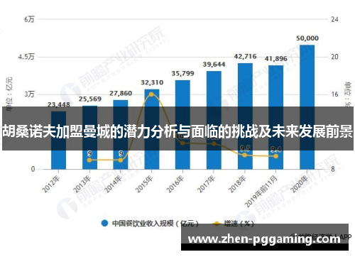 胡桑诺夫加盟曼城的潜力分析与面临的挑战及未来发展前景