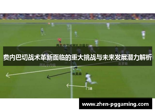 费内巴切战术革新面临的重大挑战与未来发展潜力解析