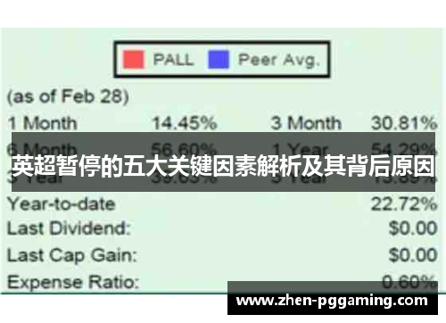 英超暂停的五大关键因素解析及其背后原因