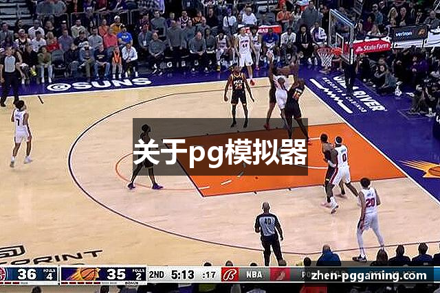 关于pg模拟器